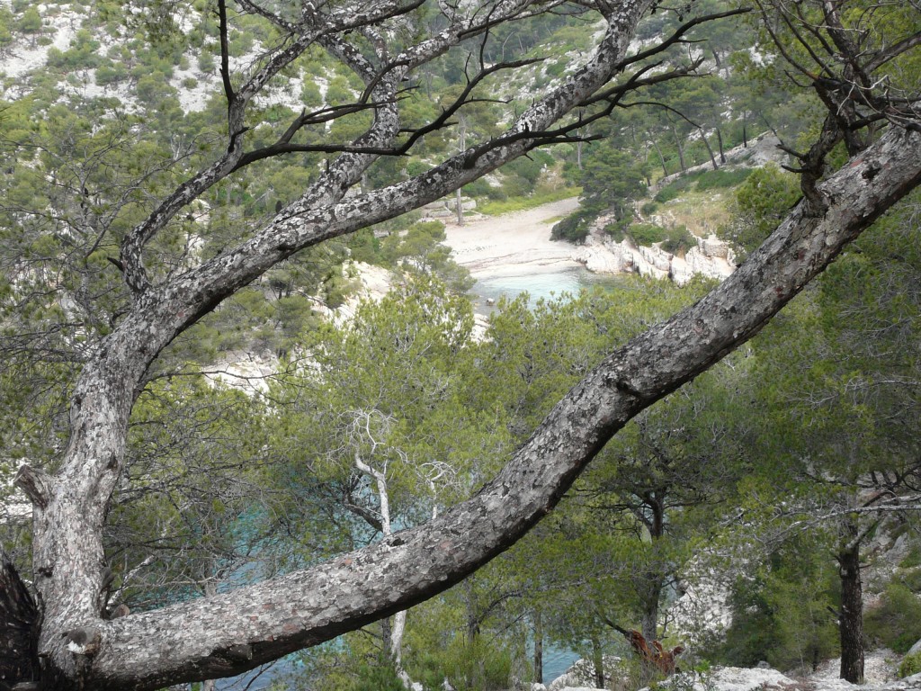 Cassis, 29-05-08, 11-45.jpg